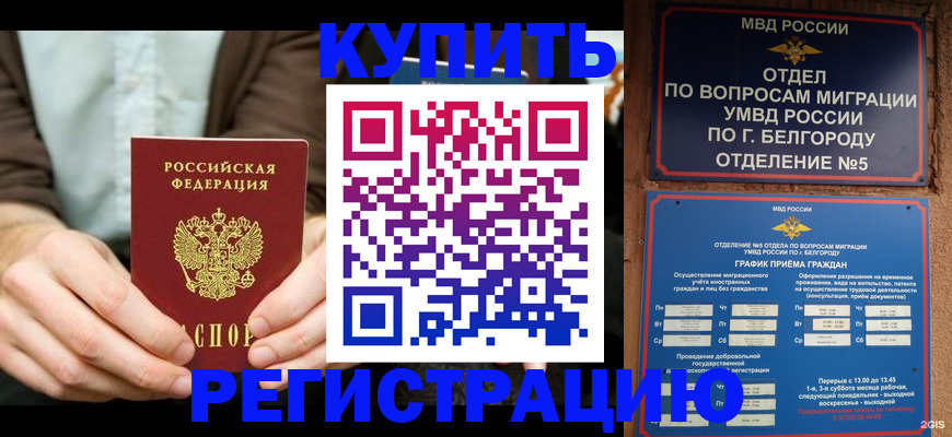 прописка 2025 в Новомичуринске